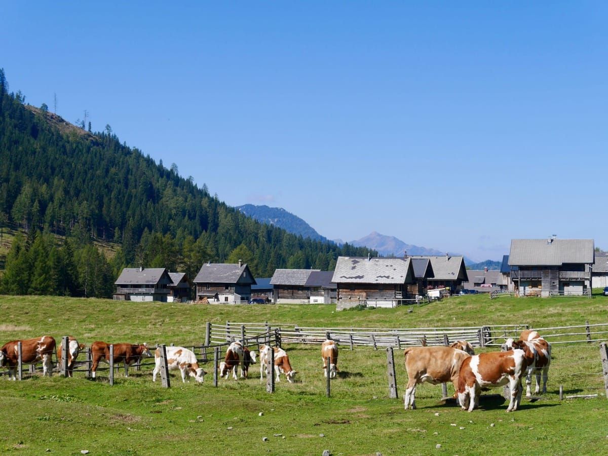 A 4-Alpine-Pasture Hike (Watschiger/Garnitzen/Ofen/Auernig Alpine Pasture)